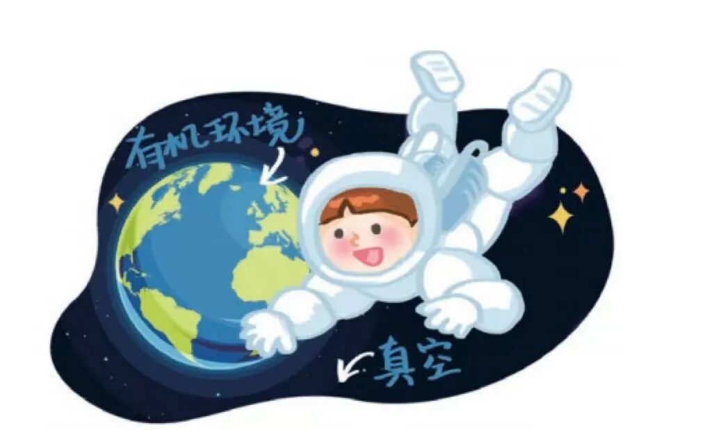 百亚股份 百亚股份